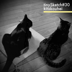 tinySketch #30