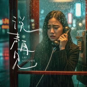 说声再见(男女对唱)