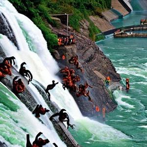 221029 The Yeti Among Us