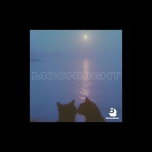 Moonlight