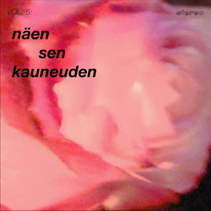 Näen sen kauneuden
