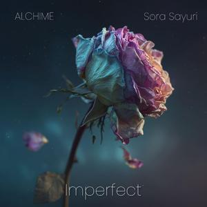 Imperfect (feat. Sora Sayuri)