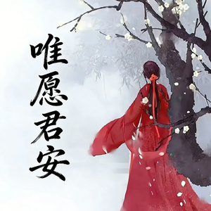 唯愿君安(DJ小玉咚鼓版)