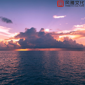 书屋下的记忆 -古筝