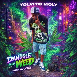 Dandole A La Weed