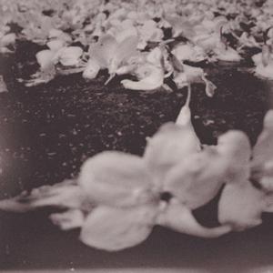 韶华 (BoomBap Beat)