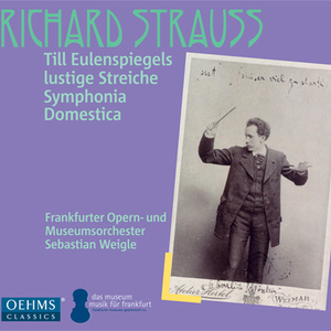 Symphonia domestica, Op. 53, TrV 209:Part I: Scherzo -