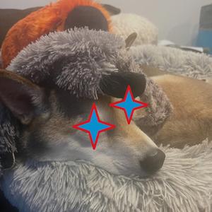 I think I got it (feat. DJ Bauser)