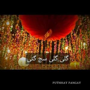 Gali Gali Saj Gai Shehar Shehar Saj Giya