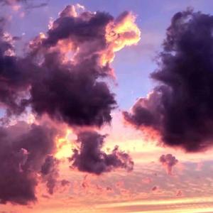 春风十里报新年