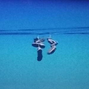 Contigo vuelvo a brillar