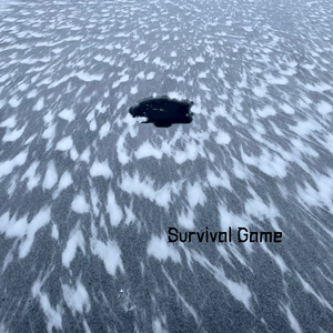 Survival Game