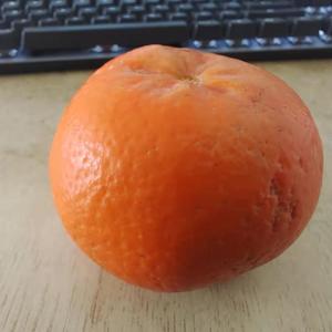 差不多橘子一号