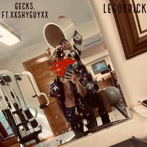 LEGOBRICK (feat. XxshyguyxX)