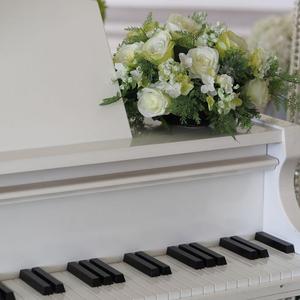 塔兰泰拉舞曲（沙尔文卡）