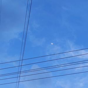 归去来兮（神仙翻唱）