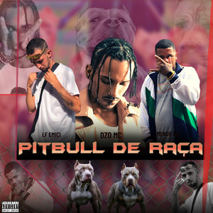Pitbull de Raça