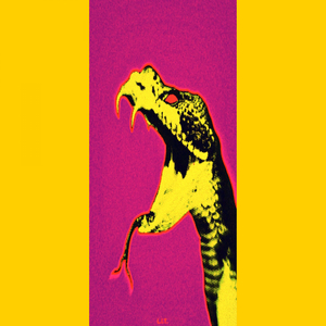 não use sapatenis na rave,por favor (instrumental)