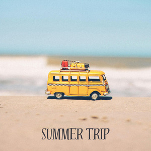 Summer Trip