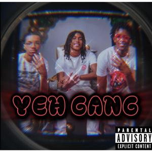 Yeh Gang (feat. SL1M & Jaytron)