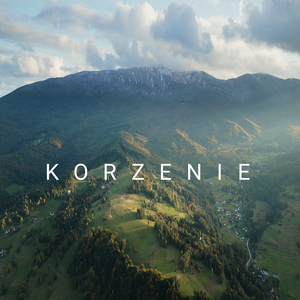 Korzenie