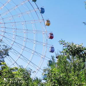 爱上你等于爱上寂寞（Ft.肖战）