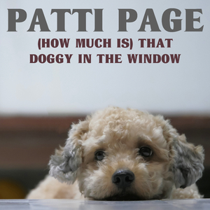 (How Much Is) That Doggy in the Window?