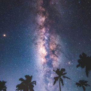 想把你留在这里