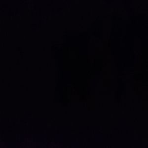 荒诞又浪漫的爱情