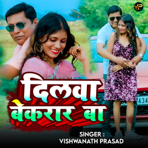 Dilwa Bequarar Baa