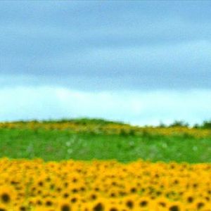 我们没说的那件事