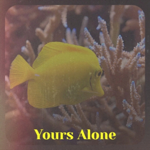 Randy & The Rainbows Denise