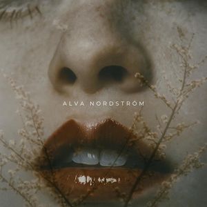 Ljuset genom Lövverket