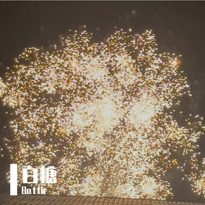 秋月静映水间梦景