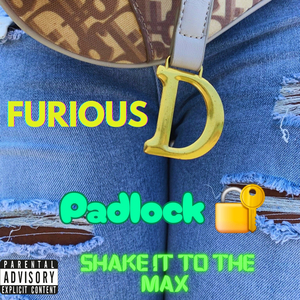 Padlock (Shake it to the max)
