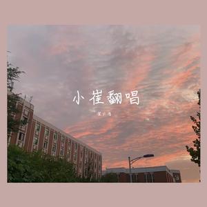 骑上我心爱的小摩托