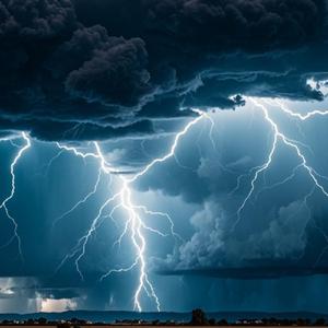 我的坚持是否应该 (现场)