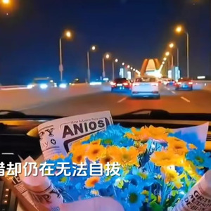 我为爱情掉过几滴泪