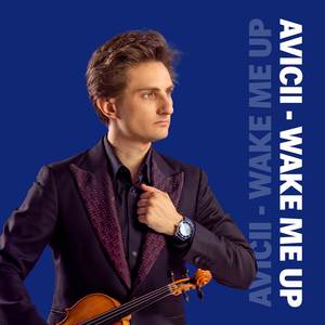 Avicii - Wake Me Up (Violin cover)