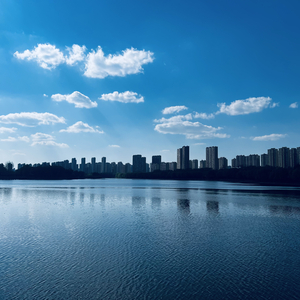 《虚伪》
