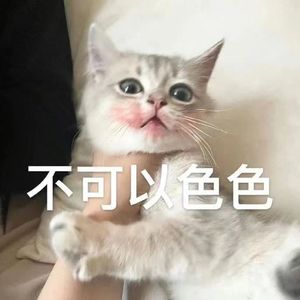 青春成长