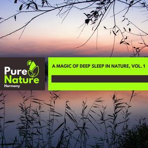 Soft Music of the Red-eyed Bulbul