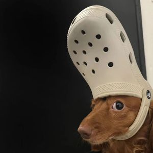 慢慢浸佢慢慢叹佢DJ