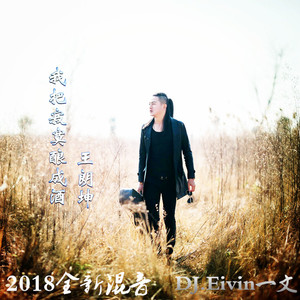 王朗坤-我把寂寞酿成酒（DJ.Eivin一文/王朗坤 Remix）