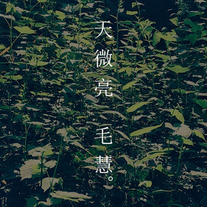 天微亮