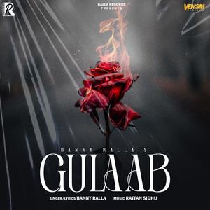 Gulaab