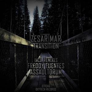 Transition (AssaultDrum Remix)