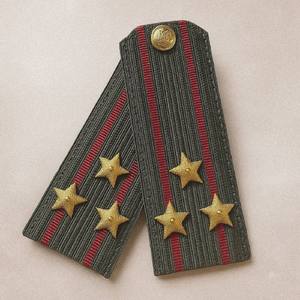 Полковник России