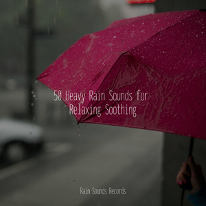 Enigmatic Drums of the Wild