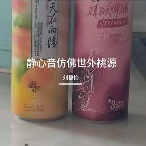 静心音仿佛世外桃源